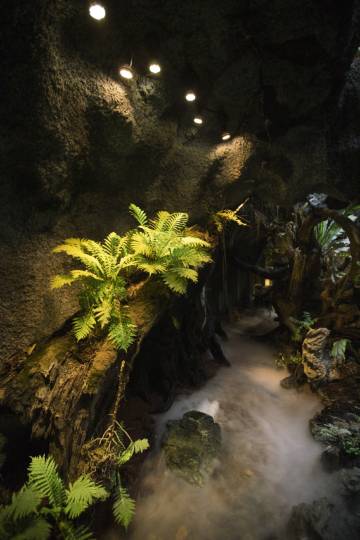 语溪圣景·生态·民宿(南岳衡山风景区南岳大庙店)图片