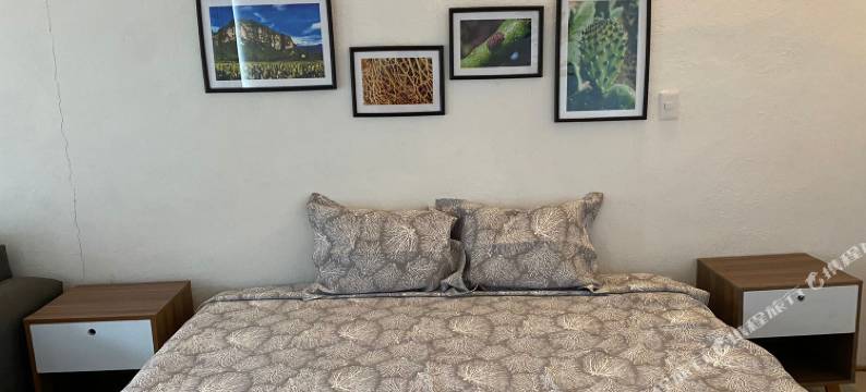 Brida Tlayacapan图片