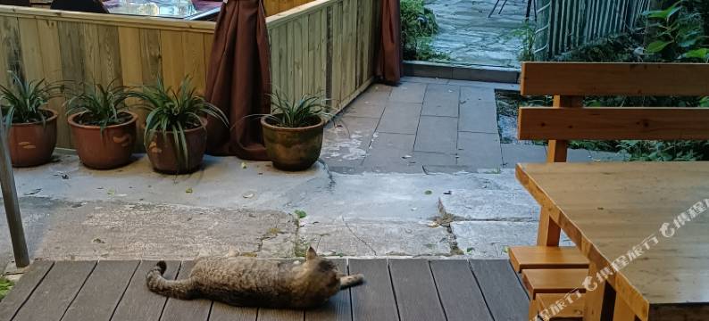 都江堰欢然农家乐图片