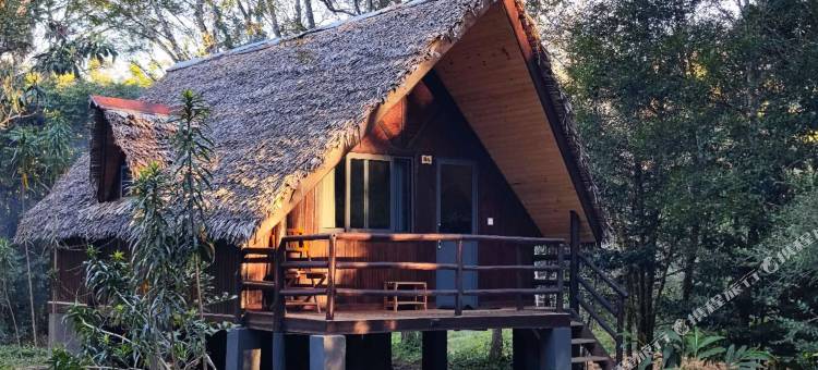 焕颜草生态营地酒店(Longoza Ecolodge)图片