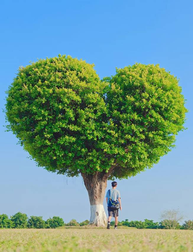 珠海·海之珠｜Global·RomanticPearl酒店(拱北口岸珠海站店)图片