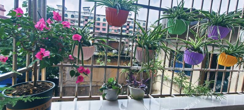 九紫星民宿图片