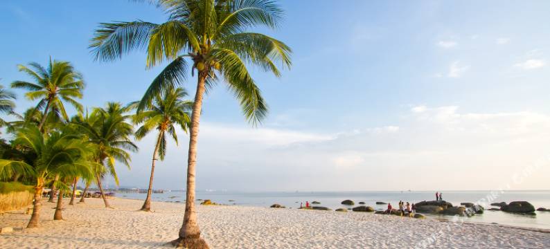 华欣我的音乐酒店(My Way Hua Hin Music Hotel)图片