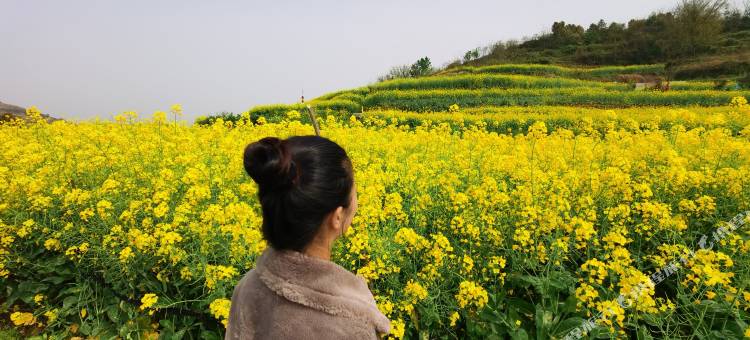 黄石鱼米人家图片