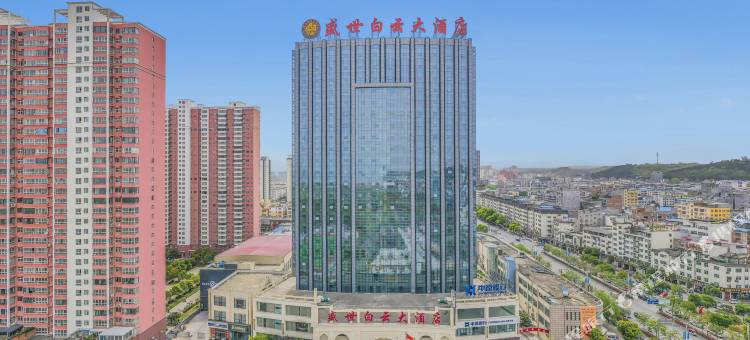 嵩县盛世白云大酒店图片