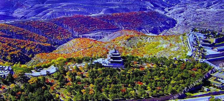 环县海贝尼斯酒店图片