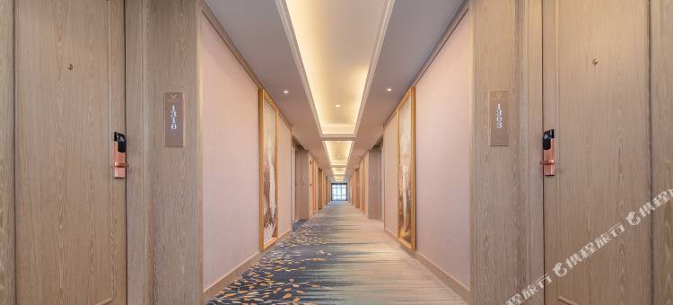 维也纳智好酒店(揭阳惠来葵和大道隆江店)图片