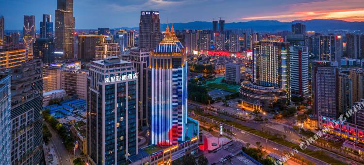 凯里亚德酒店(南昌红谷滩绿地双子塔店)图片