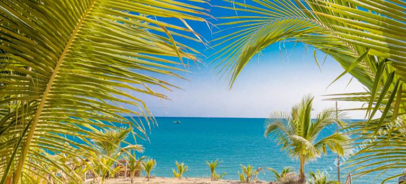 三亚SUMMER悠悠夏日长·设计师全海景艺宿(天涯海角店)图片