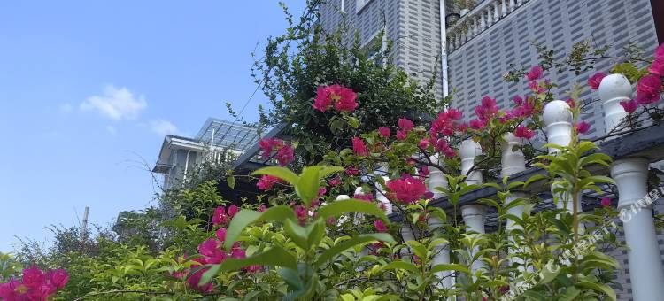 82号花园别墅图片