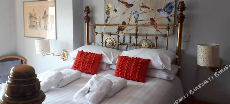 OYO 3号(OYO No. 3)图片