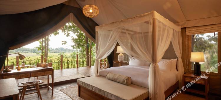 向日葵帐篷营地(Tantawan Tented camp)图片