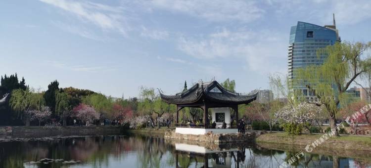 嘉盈公寓(江南大学地铁站店)图片