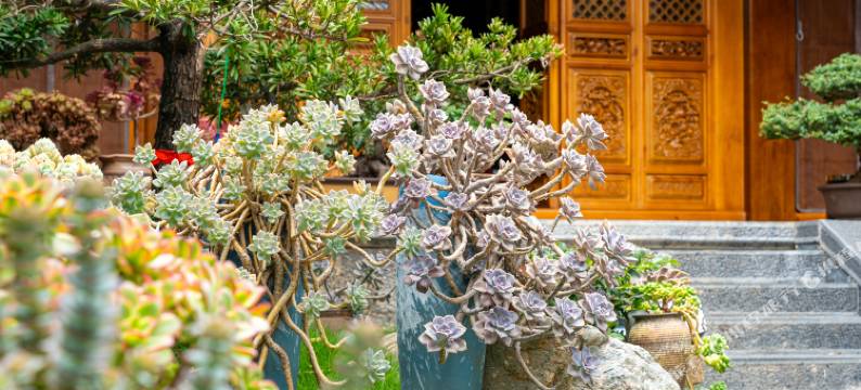 潓水别苑·Garden庭院观景美宿(沙溪古镇店)图片