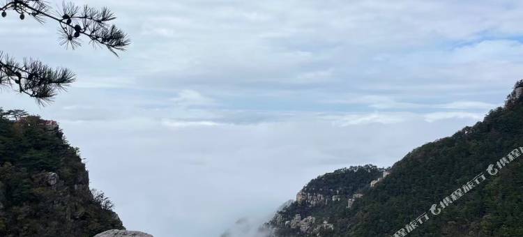 庐山风景区雲庐莲心居民宿图片
