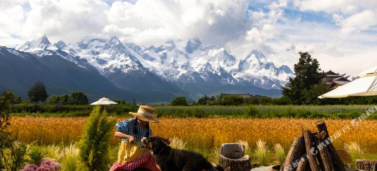 椿山雪・日照金山・田园牧场度假酒店Mountain Spring(白沙古镇店)图片
