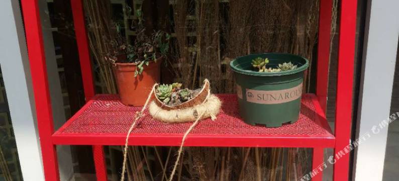 保利海上林语公寓(海陵岛十里银滩店)图片