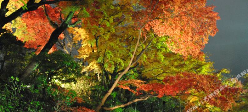 Negiya 陵枫阁(Negiya Ryofukaku)图片