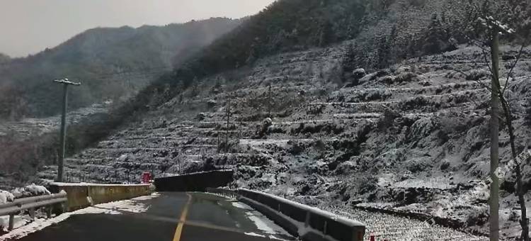 松阳红杜鹃农家乐图片