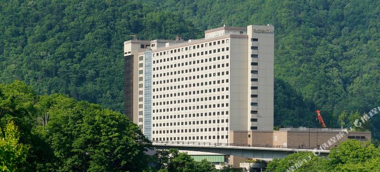 定山溪景酒店(Jozankei View Hotel)图片