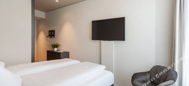 百夫长瑞士品质酒店(Centurion Swiss Quality Towerhotel Windisch)图片