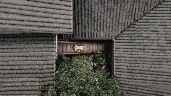 全球旅客精選