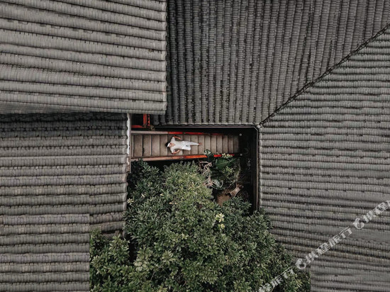 成都锦投·古迹酒店(春熙路太古里店)