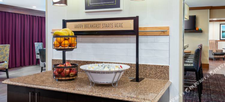 布法罗机场-广场购物中心欢朋酒店(Hampton Inn Buffalo-Airport/Galleria Mall)图片