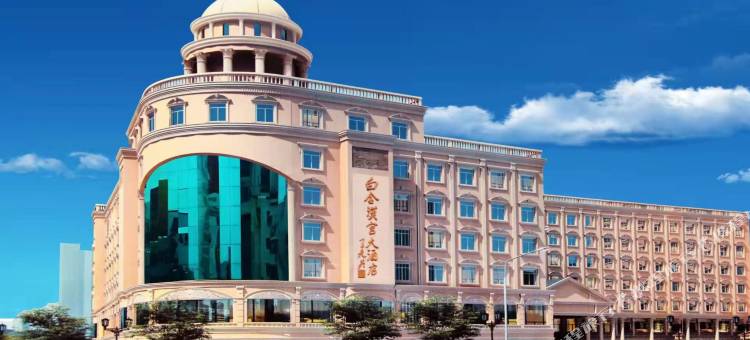 阜阳白金汉宫大酒店图片