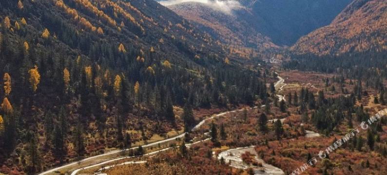 八美悦途民宿图片