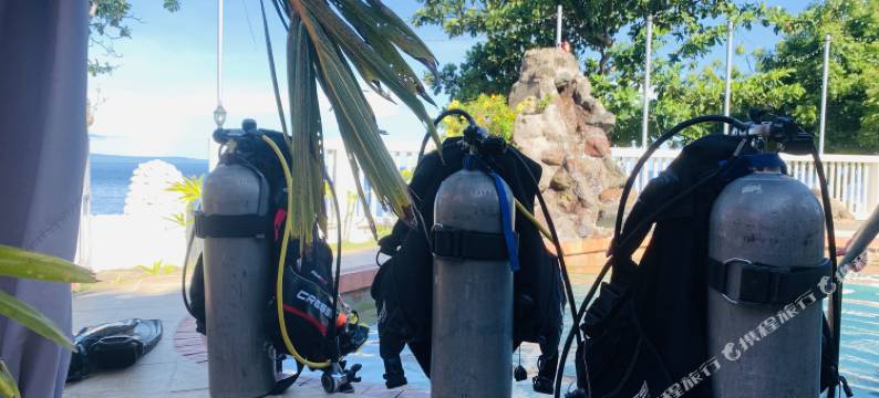 澳鲸潜水温水度假村(AoJing Diving Resort)图片