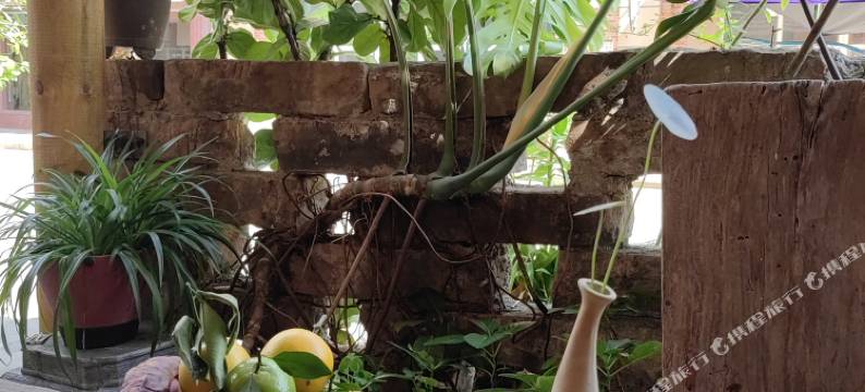 东兴陋室茗微客栈图片