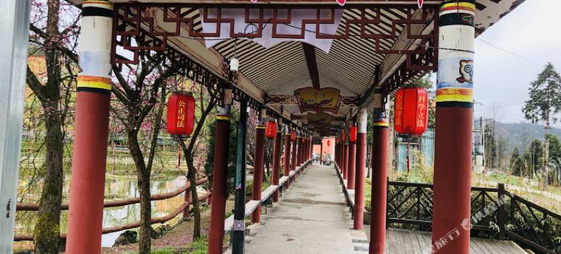 百里杜鹃花海农家图片