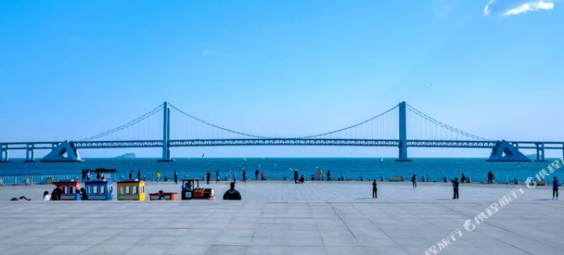 轩屿海民宿(星海广场店)图片