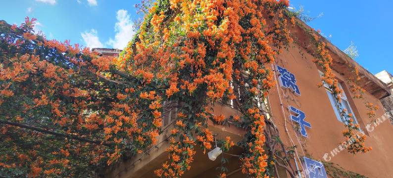 普者黑窝子田客栈图片