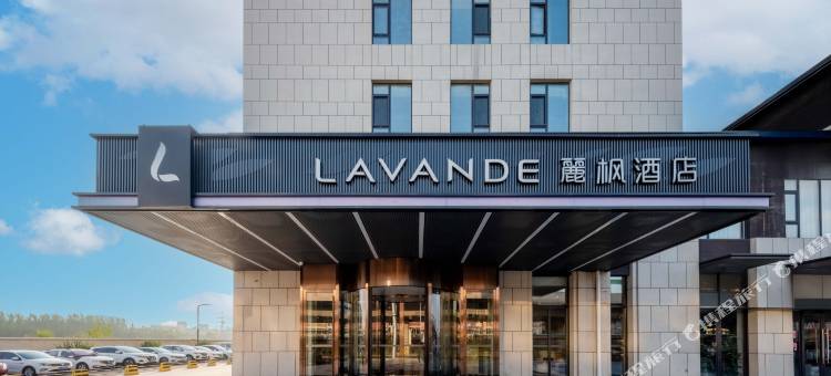 麗枫酒店(泰安岱阳大街店)图片