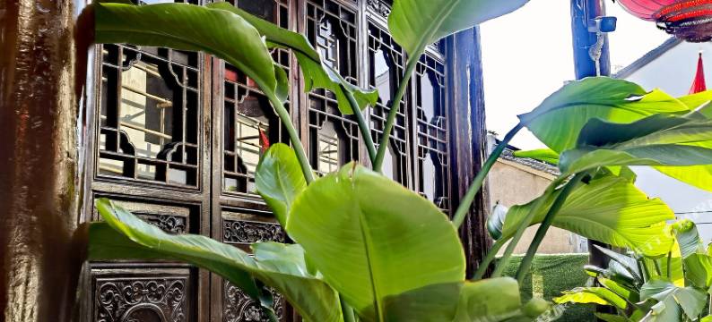 南翔古镇槎溪民宿图片