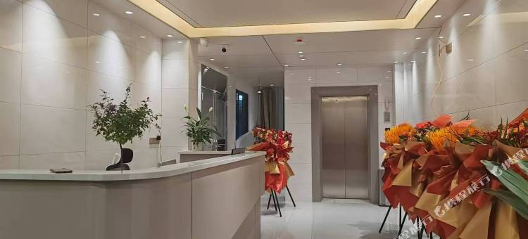 六棵树客栈图片