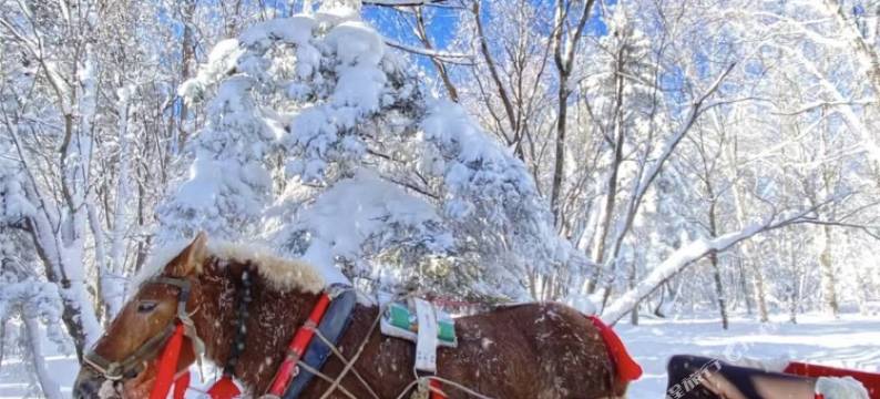 亚布力滑雪场月华民宿图片