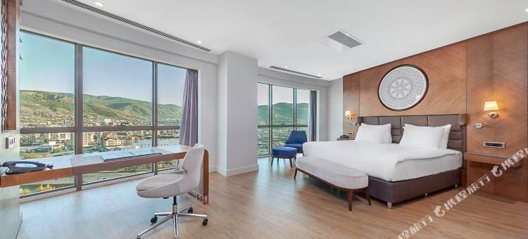 德狄曼托卡酒店(Dedeman Tokat)图片