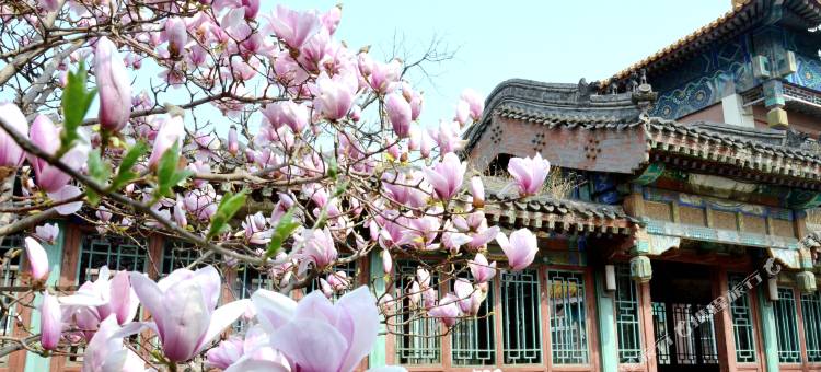 北京龙泉宾馆图片