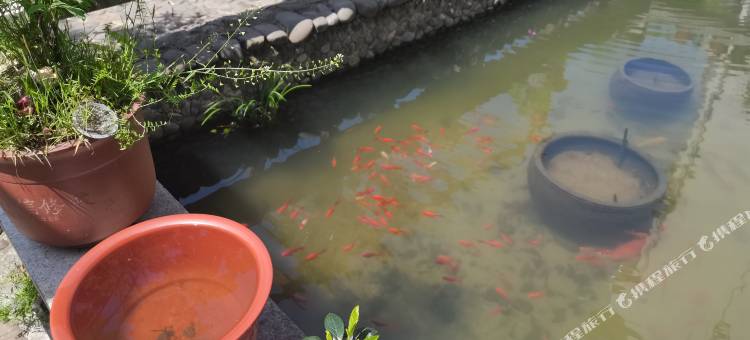 泾县查氏山庄图片