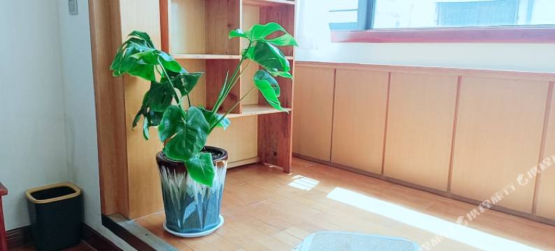 溪岸留苑民宿(开封清明上河园店)图片