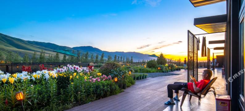 那拉提乌孙杉云居图片