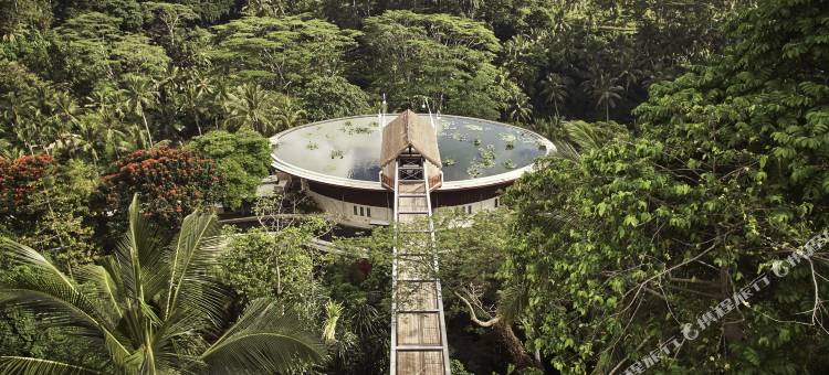 巴厘岛乌布山妍四季度假酒店(Four Seasons Resort Bali at Sayan)图片