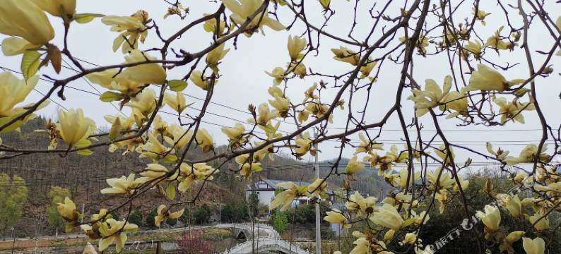 天桥宾馆(白云小镇店)图片