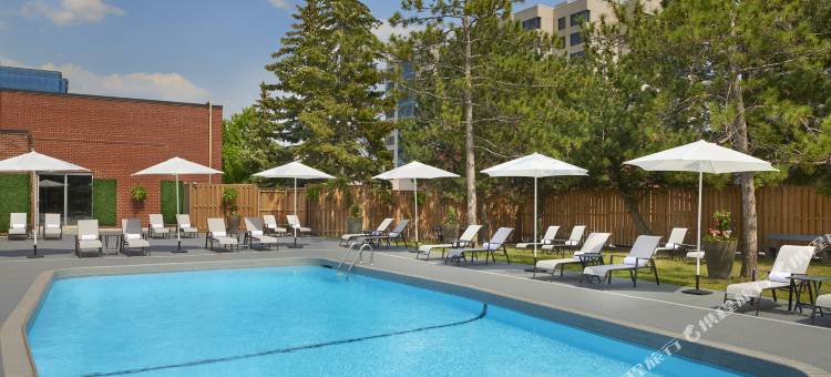 多伦多北公园大道喜来登套房酒店(Sheraton Parkway Toronto North Hotel & Suites)图片