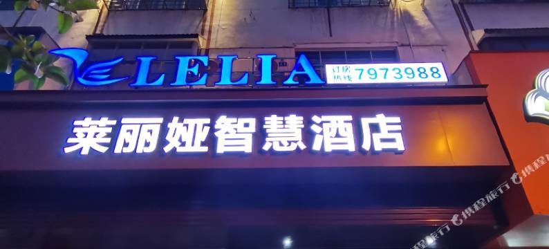 莱丽娅智慧酒店图片