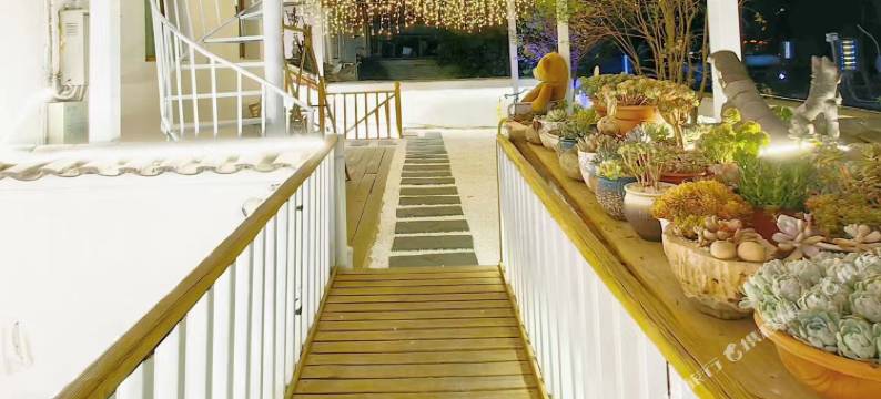 树洞里Sky Mirror star星空雪山之镜|多肉花园(丽江古城大水车店)图片