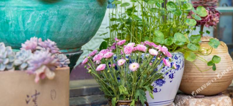 朴隐花园民宿(丽江古城客运站店)图片